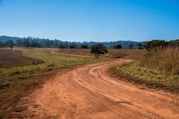 Dirt Driveway Repair in Mount Vernon