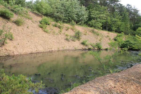 Pond Erosion Repair in Mount Vernon