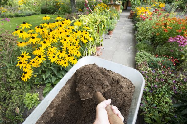 Topsoil Installation in Mount Vernon