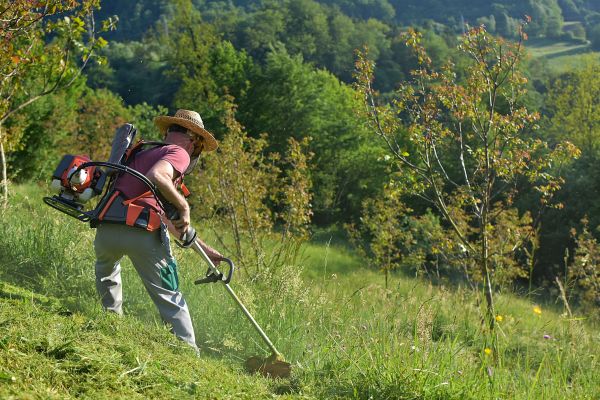 Cost of Slope Trimming in Mount Vernon