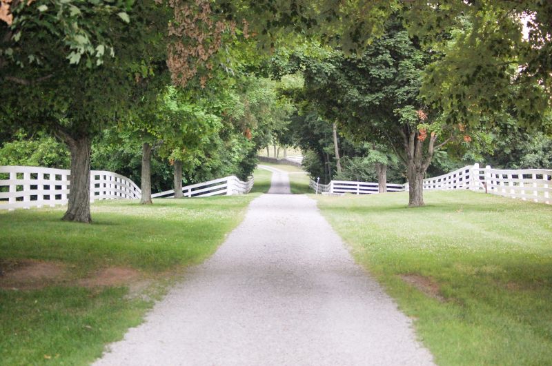 Driveway and Pathway Grading